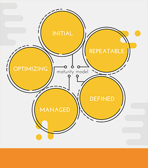 Impact Maturity Model